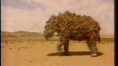 poster-5106-nissin-cup-noodle-le-rhino-et-les-parasites-236x132