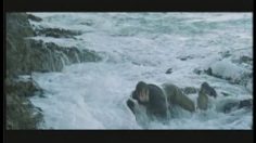 poster-5130-vivendi-l-ile-236x132