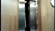 poster-5131-canalsat-melee-236x132