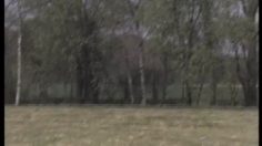 poster-5165-francaise-des-jeux-loto-balltrap-236x132