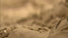 poster-5199-i-tele-le-gi-236x132