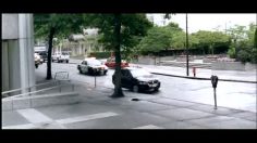 poster-5203-canal-canal-family-le-bouquet-le-casse-236x132