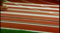 poster-5228-equidia-hamsters-236x132