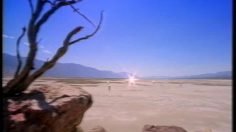 poster-5252-carlsberg-kurvand-death-valley-236x132