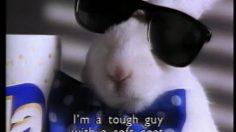 poster-5256-scala-papier-toilette-lapin-236x132