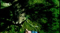 poster-527-reactine-champs-236x132