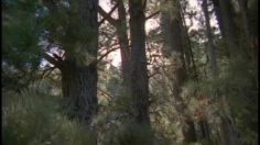 poster-5325-decathlon-quechua-base-second-tous-en-choeur-236x132