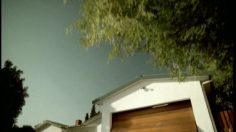 poster-5407-maaf-maaf-assurance-les-pointilles-236x132