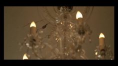 poster-5429-decathlon-domyos-pere-joueur-236x132