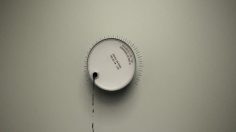 poster-5451-autorite-de-regulation-professionnelle-de-la-publicite-arpp-bvp-devient-arpp-ecologie-236x132