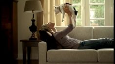 poster-5470-findus-pommes-sautees-le-chien-236x132