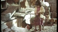 poster-5493-herta-jambon-basse-cour-236x132