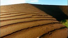 poster-5538-smart-fortwo-le-scarabee-236x132