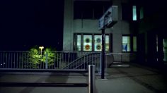 poster-5600-ibis-les-somnambules-236x132