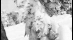 poster-5622-protest-boardwear-protest-obstacles-236x132