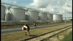 poster-5638-debout-les-terriens-protection-environnement-recuperer-l-air-pollue-236x132