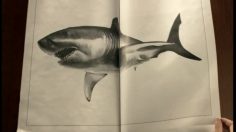 poster-5639-presse-quotidienne-regionale-pqr-66-une-consequence-logique-236x132