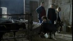 poster-5684-volkswagen-golf-tdi-bluemotion-la-ferme-236x132