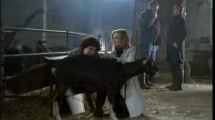 poster-5687-volkswagen-polo-tdi-bluemotion-la-ferme-bio-brunch-236x132