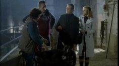 poster-5688-volkswagen-passat-tdi-bluemotion-les-bioprecurseurs-236x132