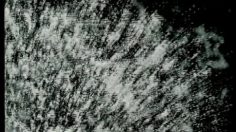 poster-570-gran-teatre-de-liceu-opera-feelings-236x132