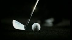 poster-5714-general-motors-buick-park-avenue-tiger-woods-236x132