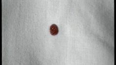 poster-574-greenpeace-anti-peine-de-mort-drop-236x132