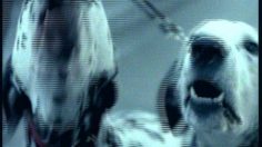 poster-5746-quies-les-boules-236x132