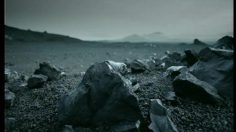 poster-5758-yves-rocher-adn-vegetal-l-adn-236x132