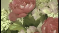 poster-5832-secours-populaire-francais-anti-violence-conjugale-femme-battue-236x132