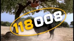 poster-5861-118-008-page-jaunes-le-taureau-236x132