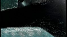 poster-588-adidas-thorpedo-swimming-236x132