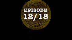 poster-5905-le-coq-sportif-differences-culturelles-236x132