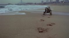 poster-5916-citroen-c3picasso-le-chien-236x132