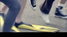 poster-5917-lu-granola-les-palmes-236x132