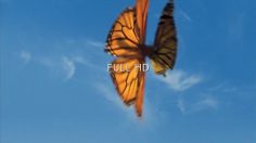 poster-5938-citroen-c4-picasso-le-visiospace-236x132