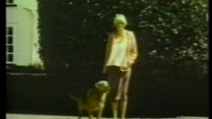 poster-596-volkswagen-beetle-on-the-road-236x132