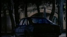 poster-6010-tulipan-preservatifs-tires-236x132