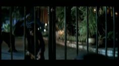 poster-6019-volkswagen-tiguan-tdi-bluemotion-les-singes-236x132