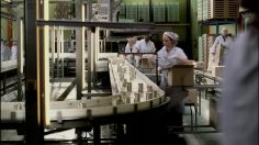 poster-6037-protection-sante-troubles-musculo-squelettiques-factory-236x132