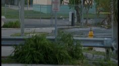 poster-6048-night-fever-course-poursuite-236x132