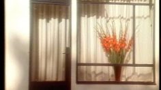 poster-6063-centraal-beheer-le-voisin-236x132