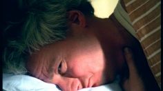 poster-6071-wasa-reveils-236x132