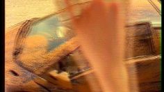 poster-6073-saila-la-lamborghini-236x132