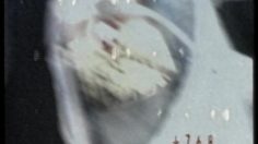 poster-6088-coors-light-the-six-million-dollar-can-236x132