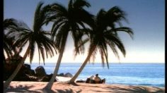 poster-6101-pepsi-dog-dream-236x132