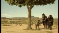 poster-6106-nissin-cup-noodle-les-pommes-et-le-cougar-236x132