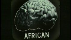 poster-6108-anti-racisme-brains-236x132