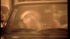 poster-6138-solo-embouteillages-236x132