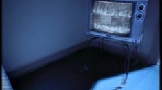 poster-6146-carling-black-label-shower-236x132